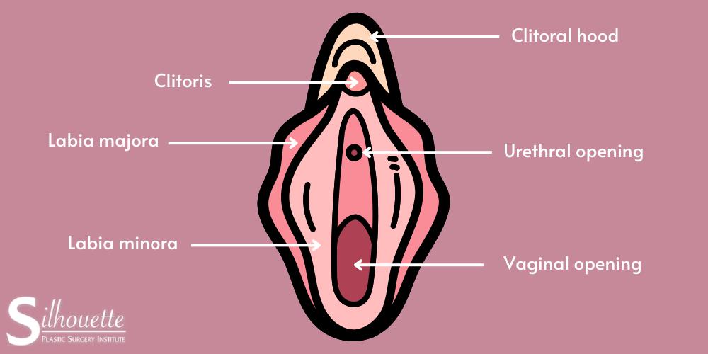 Labiaplasty in London